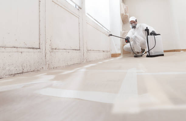 24/7 Emergency Mold Testing experts in Hampstead, NC